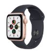 Picture of Apple Watch SE Gold Aluminum Case with Sport Band